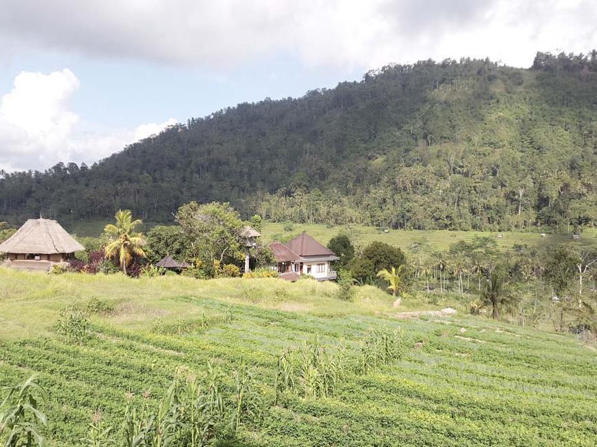 Embang Homestay Сідемен Екстер'єр фото